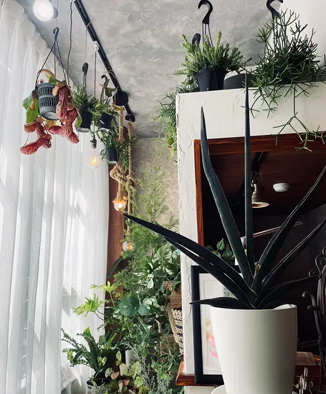 store photo